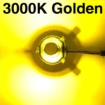 golden-yellow